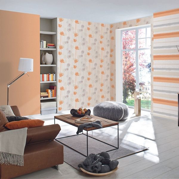 Rasch Home Vision 2016