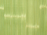 бледно-зеленые бамбуковые обои