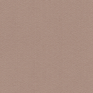 Обои Did Trend Art