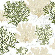 Обои Kt Exclusive Charleston Home